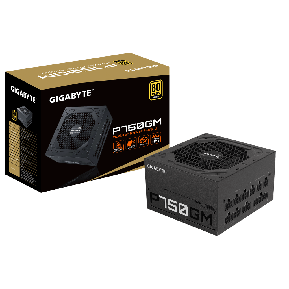 Fuente Gamer 750 W Gygabyte P750GM Plus Gold Modular (usada)